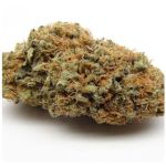 Шишки AK47 (Гидропоника, Бошка) VHQ в Ярцево Шишки AK47 (Гидропоника, Бошка) VHQ в Ярцево